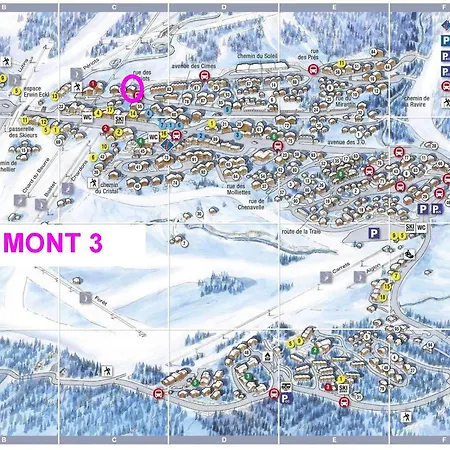 Renove 4 Pers, Animaux Permis Aux Saisies - Fr-1-293-2 * Les Saisies